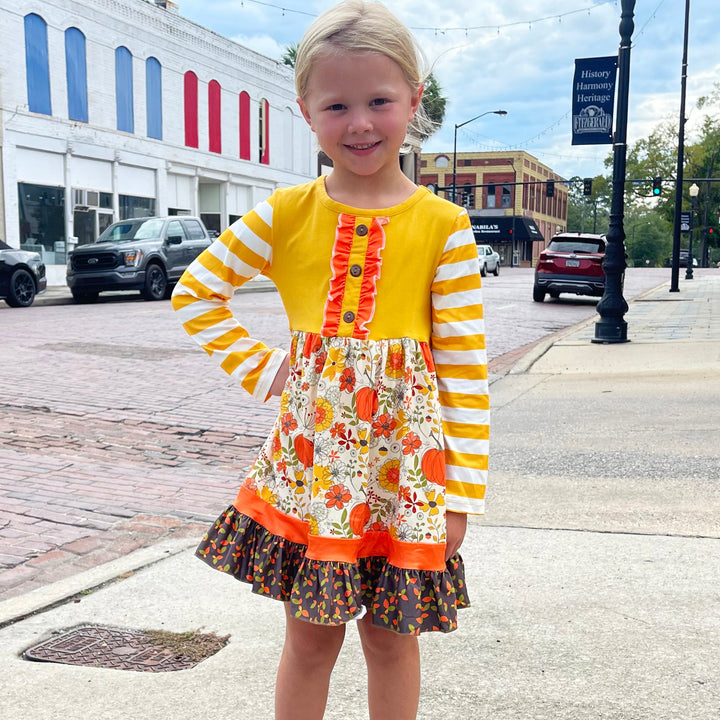 Toddler Girls Knit Fall Long Sleeve Dress
