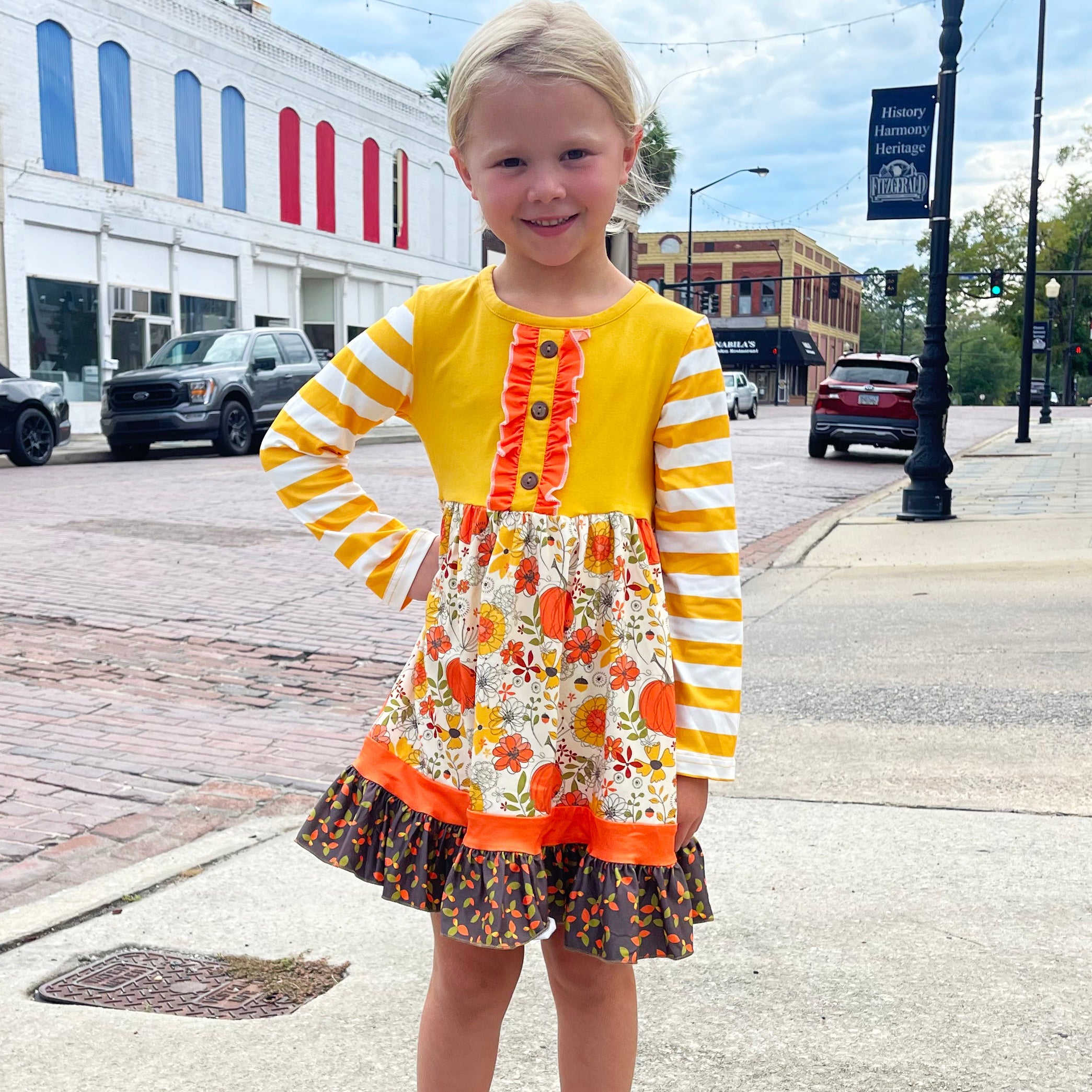 Toddler Girls Knit Fall Long Sleeve Dress